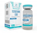 Novagen Testosterone E500