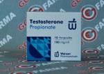 Watson new Testosterone Propionate