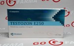 Horizon Testozon E250
